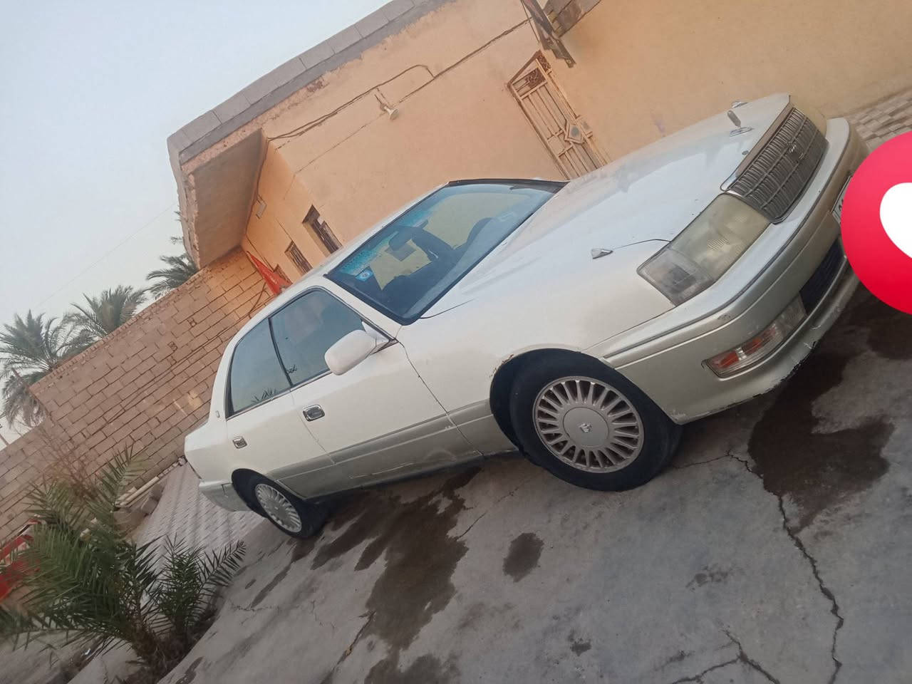 سلام عليكم راس الثور البيع مكفوله من الكص محرك وكير كفاله حداديه نص عمر راقام وسنويه اربيل شراي ينتصال وبيه خير ويدلل مكاني ناصريه ***********

