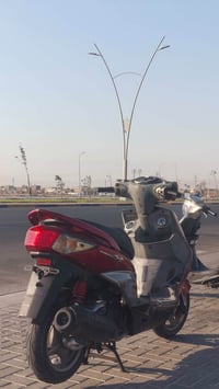 سكنس فحل • خطين • معدل