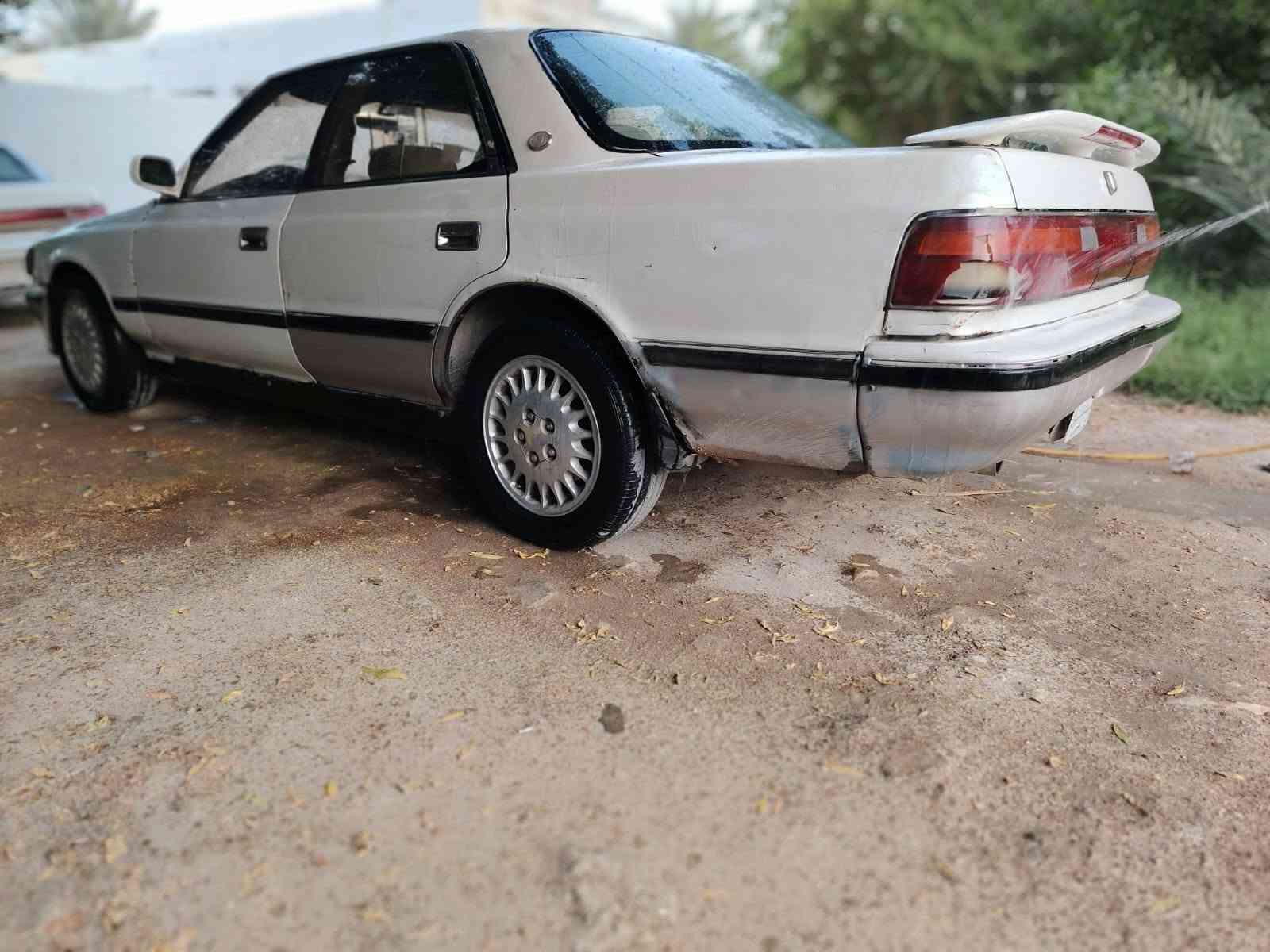 شيرز • ٩٤ • رقم ديالى