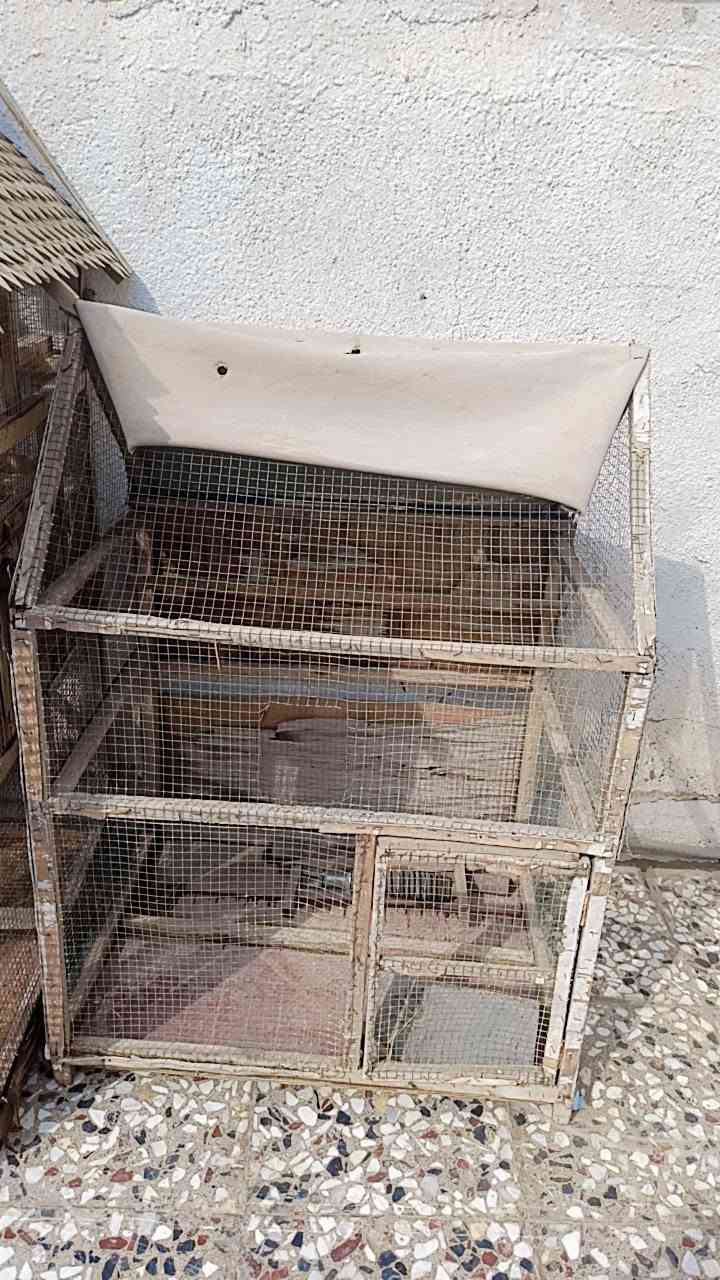 قفاص • عدد ٢ • نضيف