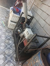 مولد • لستر انكليزي • الرمادي جسر الحوز