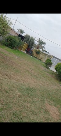 طريق المعاره • ٨٠٠م • حديقه واسعه