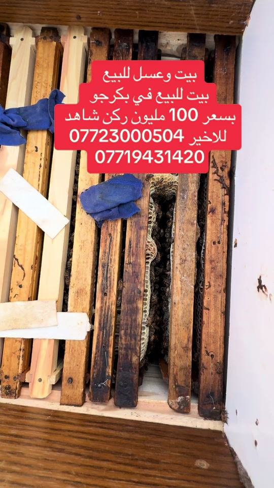 بيت وعسل للبيع  بيت للبيع في بكرجو  بسعر 100 مليون ركن شاهد   للاخير ***********  *********** #السليمانيه #عقارات #عقارات_السليمانيه_شقه_للييع #رابرين #عقاراتي 
