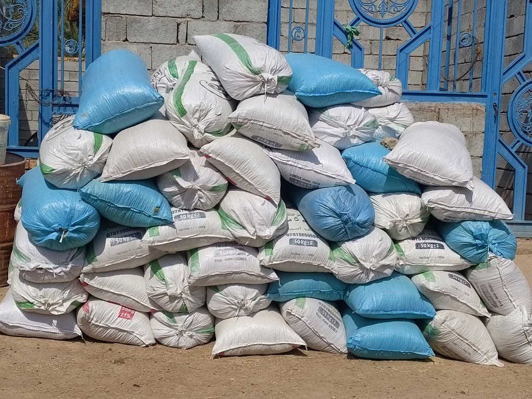 تبن جت للبيع العدد خير من الله النضافه   والتعبأ شرط درجه اولى سعر الزوج 12 الف    العنوان بابل المسيب 
للتواصل ***********
