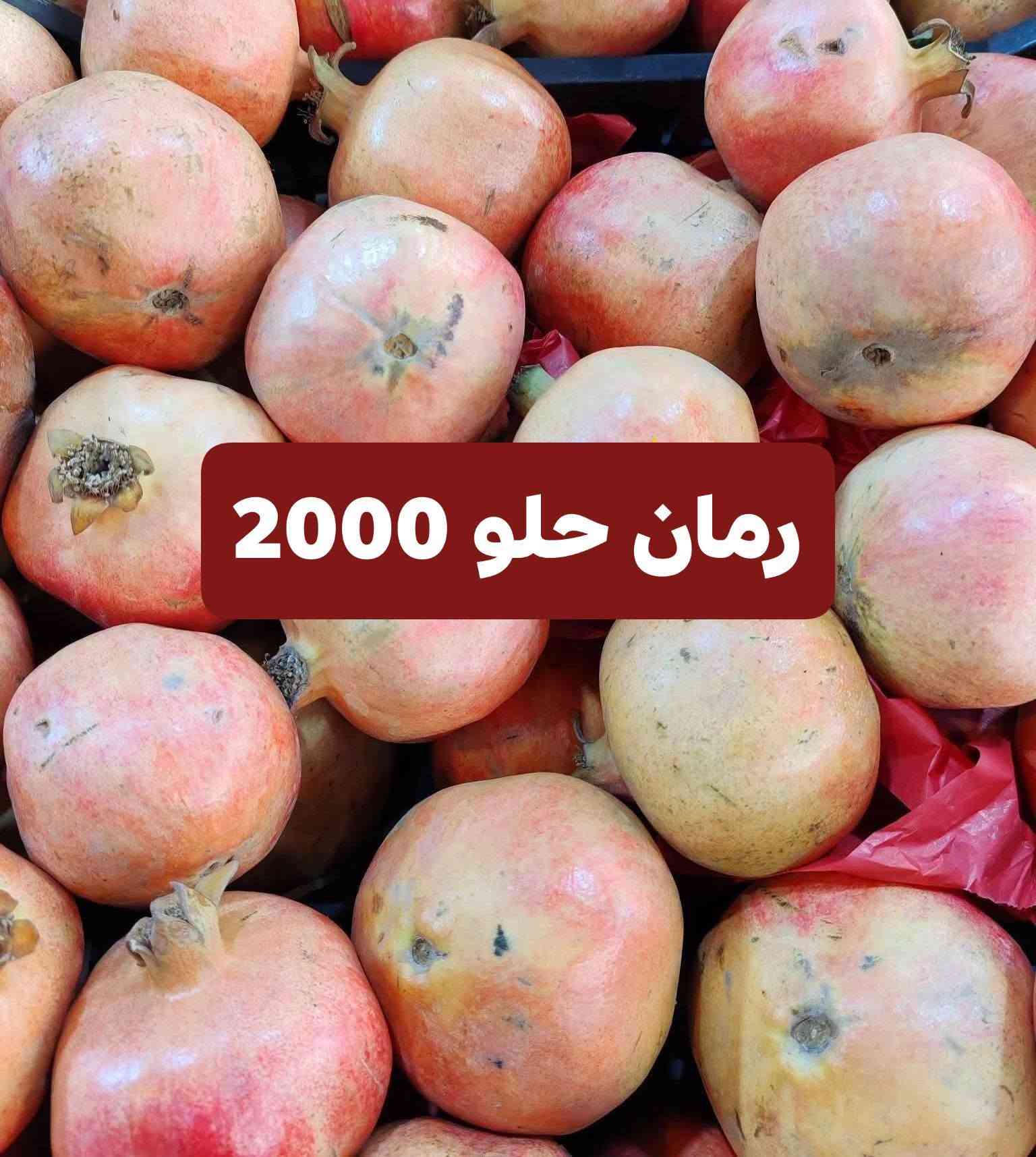 الفلوجة الجغيفي الثانية • توصيل مجاني • خضار وفاكهة
