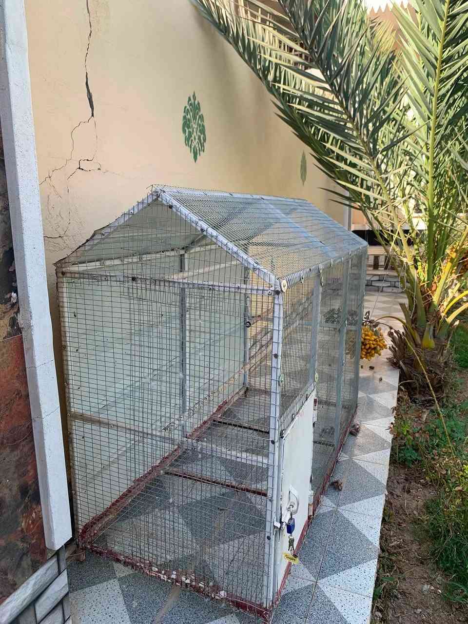 السلام عليكم قفص للبيع قفل ومفتاح جاهز شغل درجه أولى شغل هيسكو حصيره نوعيه فول الطول متر ونص العرض 80 الارتفاع متر وربع قفص  بس تجيب طيورك وتفكهن السعر 100 الف المكان الضلوعيه ***********
