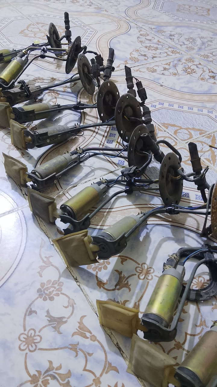 قواعد • سوناتا • جملة/مفرد
