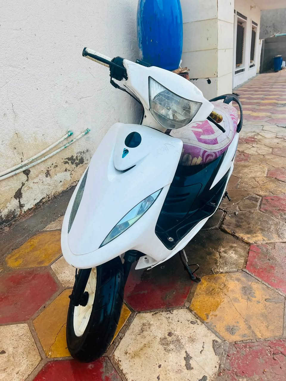 ماكس عدلة • فول • زينون