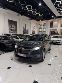 اكينوكس • بدون صبغ • اربيل