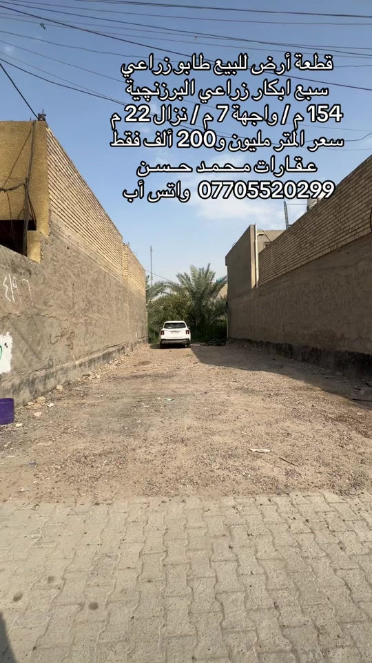 سبع ابكار البرزنچية • ١٥٤م • سند ٢٥