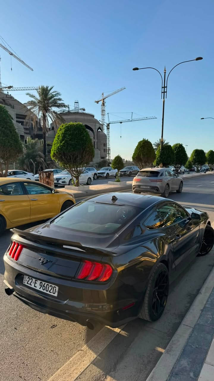 سعر 145$ موستنك ايكو 2022
عليها هواية اضافات وقطع تزويد اصلية من امريكا جتي ومرتبة 

-ماشية 42 ميل

-شوتة رياضية Airaid اصلية من امريكا

-عطاس تيربو صوتة كلش حلو هم اجة بيها من امريكا 

-داون بايب اصلي 

-عليها شباك cs

-ويل حجم 20 مال ماك وان تو سايز مال جيتي تايرات خلفية عريضة

-جناح خلفي مال شيلبي مع الإضافة 

-مسطرة خلفية صندوك مال جيتي

-محدثة دركة مال جيتي ام الشفترات 

-سقف نجوم روز رايز

حادثه سطحي وخفيف جاي من فوك  شاصي مكفول

بنيد وجاملغ صبغ ونص جاملغ الثاني

ايرباك دركة 

رقم اربيل

مكانها بغداد الاعظمية او العرصات 

تواصل خاص اور رقم التلفون

***********
