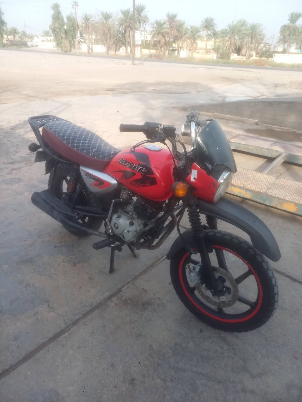 بوكسر • جبلي • ٢٠١٩