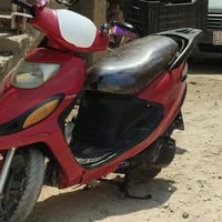 دولفين • بيه مجال