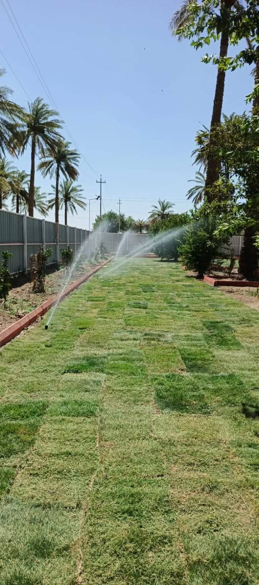 سلام عليكم على بركة الله عملي تجهيز مزارع ديكورات حدائق تجيز حدائق من اشجار لحمضيات ازهار وكذالك يتوفر لدينه انوع فسائل النخيل ونشتغل كل انواع الأين
مع فرش ثيل درجه اولئ وكذالك ادامة الحدائق تنضيف قص الشجار عمل درجه اولئ 
الاستفسار اتصال على هاذء رقم ***********
