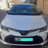 كورلا ساس • ٢٠٢٥ • رقم اربيل