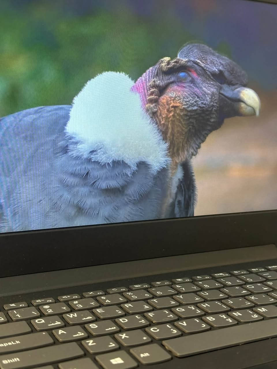 لينوفو IdeaPad 130 • i3 الجيل السابع • ١٢٨GB SSD