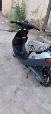 بطة • شاصي • ما بيها