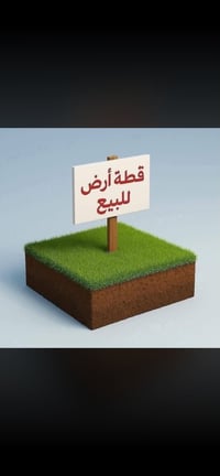البيجيه • ١٠١٫٢٥م • واجهة ١١٫٢٥م