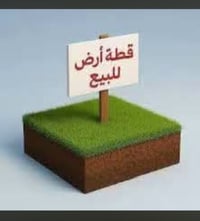 شارع المشجر مجمع الامير • ١٠٠م • ارض