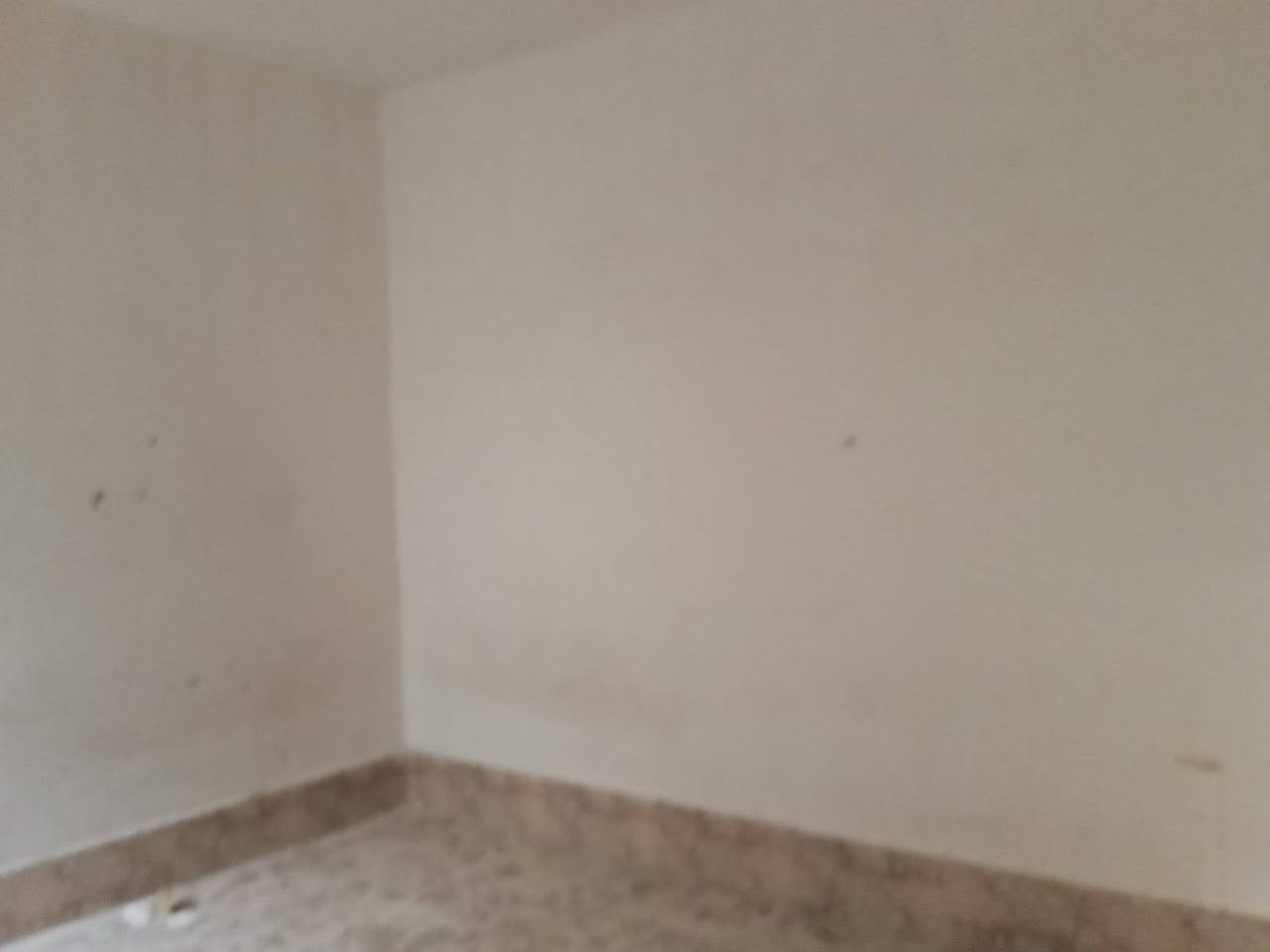 🏠 بيت للبيع – حي النداء
📍 الموقع: حي النداء، منطقة 46، قريب من شارع كربلاء.
📐 المساحة: 100 متر
🏡 البيت خريطة كاملة، بناء طابوق، صب، سيراميك وكاشي، وحرف T بصف الساحة.
📄 البيت بيه وكالة بغداد وبيها صحة صدور.
💰 السعر: 60 مليون قابل للتفاوض.
📞 للاستفسار والاتصال: ***********
📱 متواجد فقط على واتساب.
