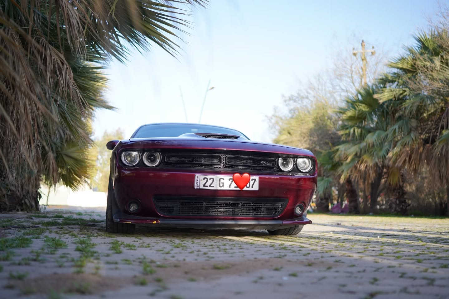 R/T V8 5.7
جالنجر ار تي 5.7 
موديل 2020 كلين تايتل 
سيارة صفر مسج 
ماشيه 52 فقط 
سياره على وضع الشركة ستوك 
دبات اسود 
كزوز بوابات بلادي 
وضعيات قياده 
شاشه جبيره 
شفتات ستيرن 
داخل احمر 
كشن كهرباء وحضن 
حساسات 
كامره دواره
ويل نجمه اصلي خفسه قويه 
كفر دركه RT وعندي SRT هم انطي وياها 
الشراي يتصل ويدلل 
***********
