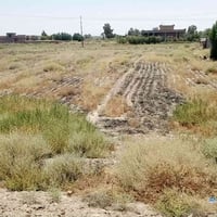 دونم ٢٥٠٠م • ماء كهرباء • اليوسفيه