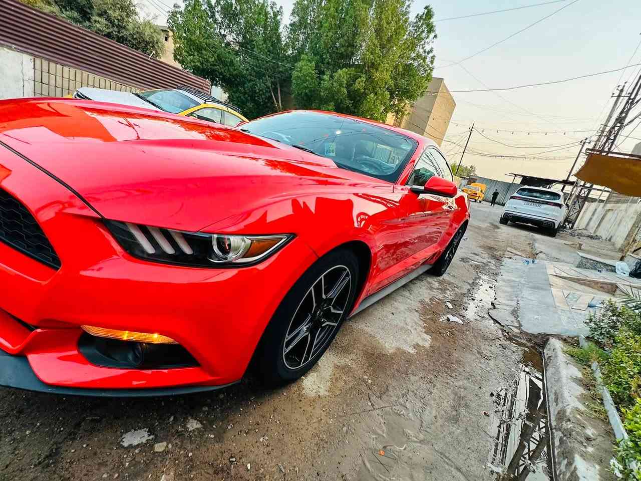سلام عليكم  موستنك كلين ولون مميز برتقالي 🧡🍊
موديل 2015السياره كفاله عامه من صبغ ضربه تبديل حته دعاميات بلاديه قطره صبغ ما بيهه كلين كلين 
    محرك V6🐎🐎
ماشيه ٧٣ 
  
تخم تاير جديد صدر جديد 
أناره داخليه برميوم 
اكزوز اصلي تحكم من يمك
منضومه زنون اصلي ضمان ١٠ سنوات بيهن اصلي 
كاعيات الشركه وكتلوكات بعدهه بيهه 
تعال وشوف بعينك 
    ما يحتاج اشرح عليها الشراي يتصل السياره ابسمي  مكاني بغداد
السعر ١٦٥ وبيهه مجال   و. مراوس ابسياره ٤ بوي حسب القناعه 
غير متواجد ع فيس الشراي  يتصل ويدلل 
   رقم الهاتف ***********
