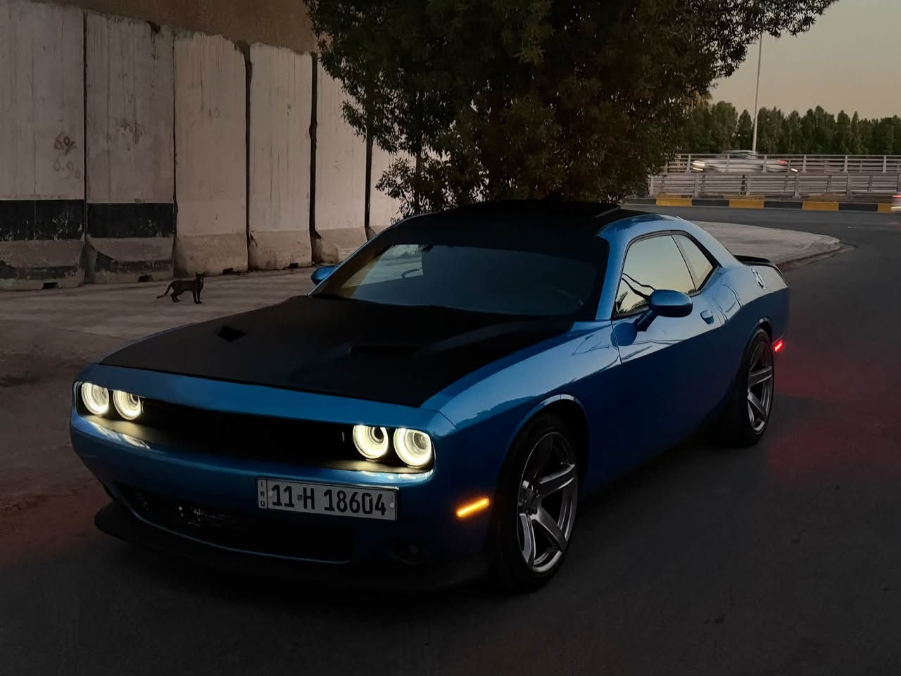 سلام عليكم شباب
جالنجر ٢٠١٨
للبيع فقط
حادثها نص البنيد فقط 
سياره ترايها زيرو 
موصفات
فتحه 
كشنات كهرباء
شاشه وسط
تو ويل
عليها ادامه كامله من كلشي 
صدر 
تايرات
منضومه حتراق
فريز تبريد
شرط كله جديد 
اي اسمي تحويل مباشر
سعرها ١٦٥ وبيها مجال
مكاني بغداد الوزيريه
تواصل‏***********
