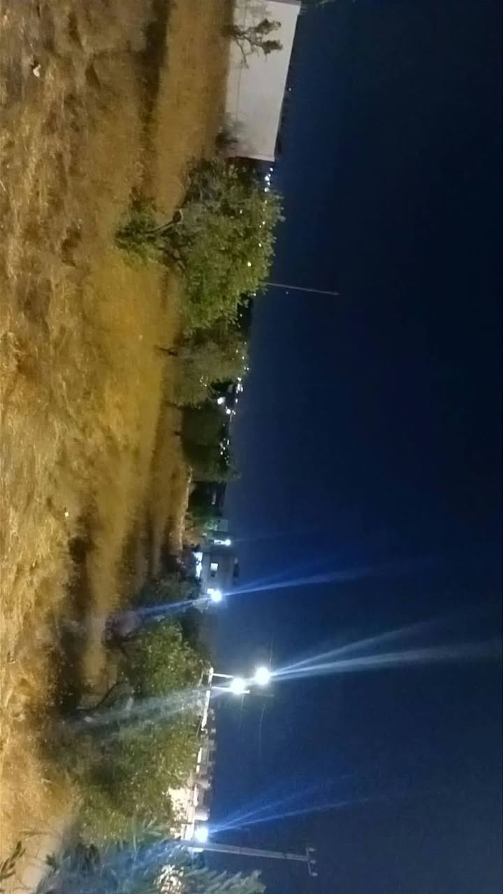 الرمثا طريق ابو البصل • ارض مش مفروزات • شجر زيتون
