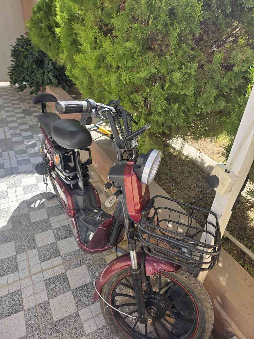 موطور شحن • ٢٠٢٤
