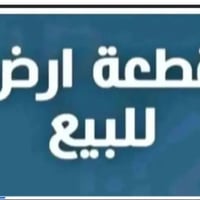 حي الرياض • ٢٥٠م • تفتح عالمدرسة