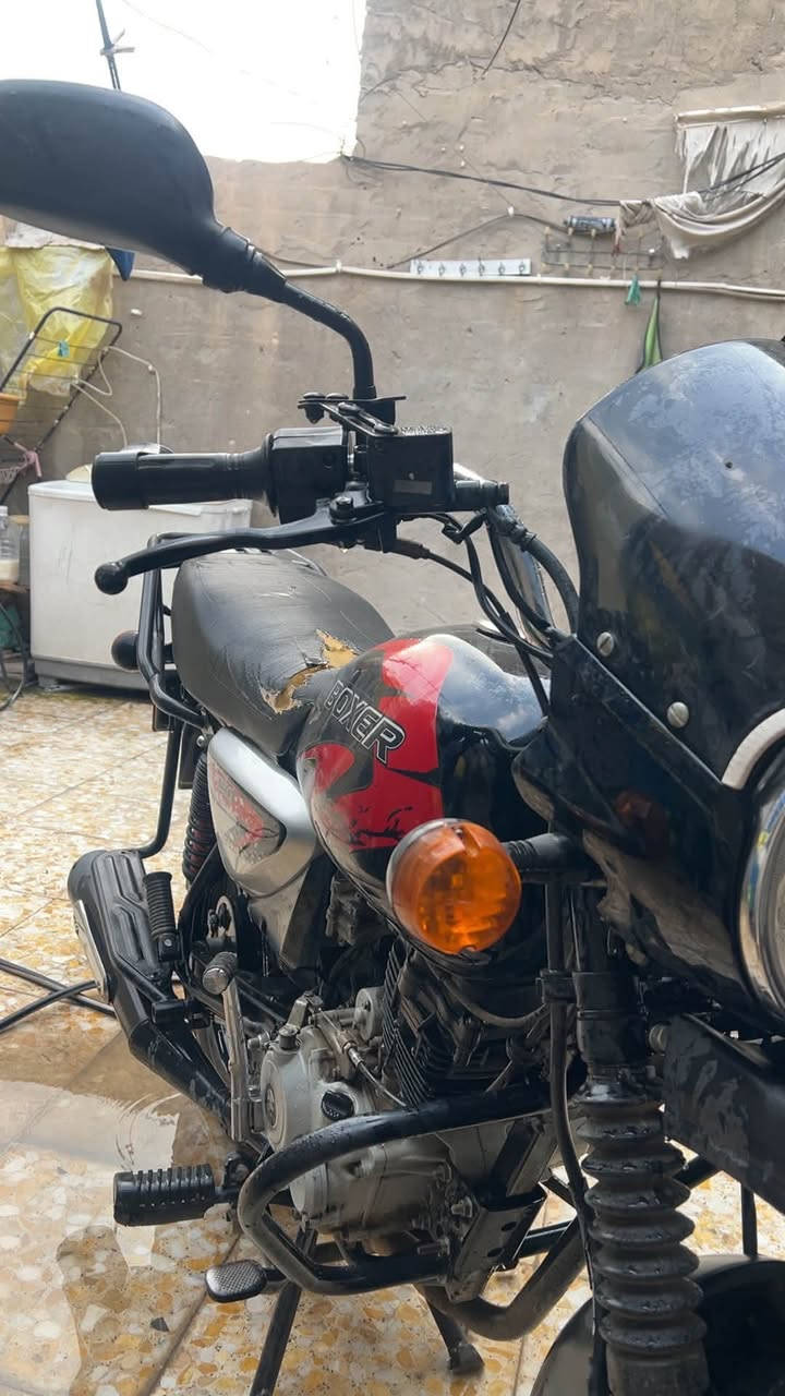 بوكسر • ٢٠٢٣ • باسمي