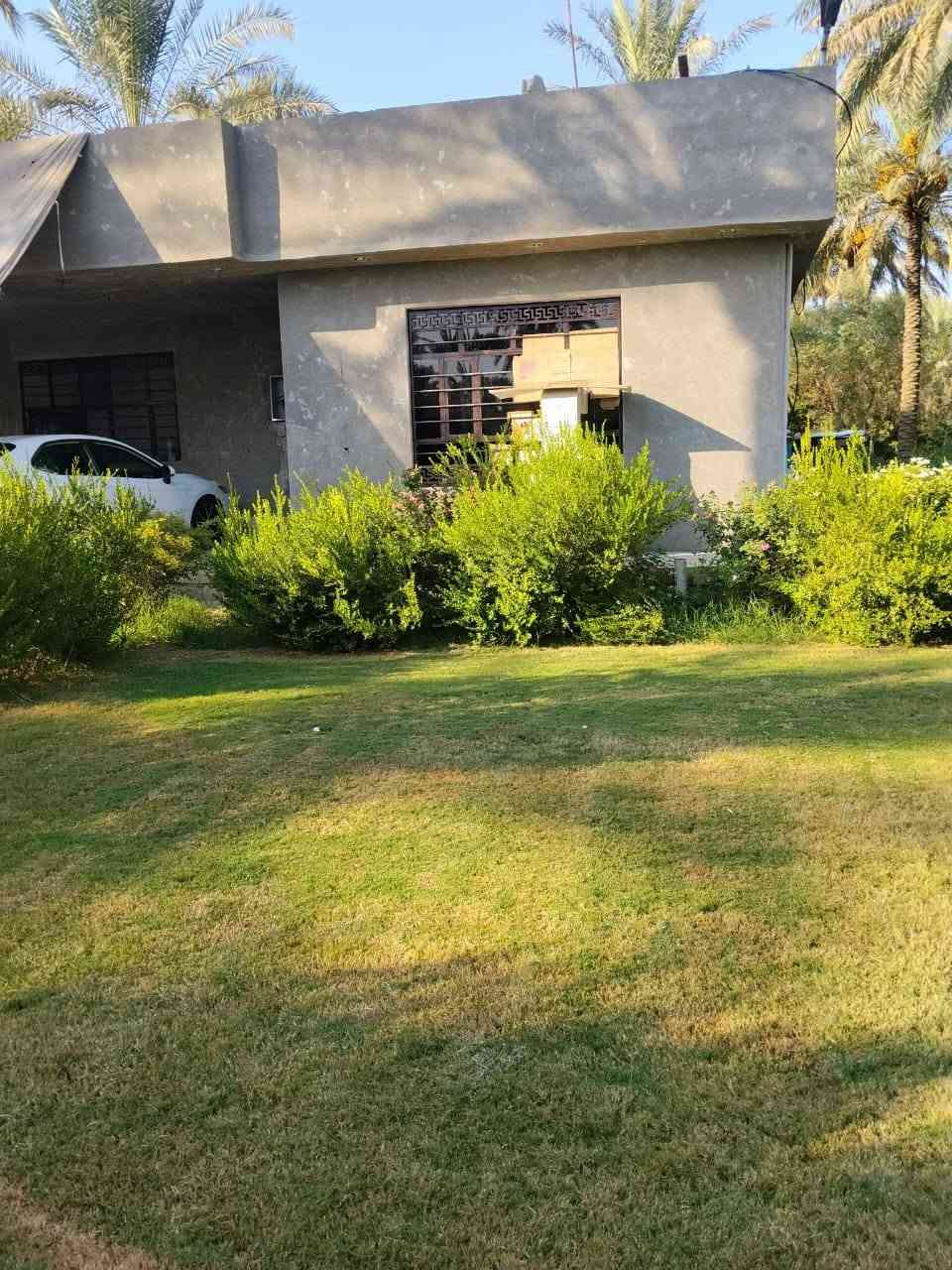 سلام عليكم يوجد بيت للبيع مساحه الف متر يحتوي على 2غرف نوم واستقبال ومطبخ وحولي وصحيات طابو زراعي سند25 إقرار محكمة العنوان بغداد الراشديه قرب كاظم العلي الاتصال على الرقم ***********
