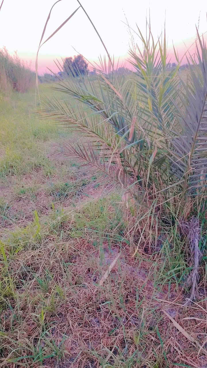بسم الله الرحمن الرحيم.. 
على بركة الله 
متاح/ ارض زراعية مساحتها دونم طابو زراعي سند25 حق التصرف  الواجه 41 والنزال 61  ترهم مزرعة وتصلح للسكن او الاستثمار ارض مخدومه واصل ماء سقي وماء صالح للشرب وكهرباء  وشارع تبليط مكانها بساتين البوهيازع زلمة حمدي طريق مقبرة جف علي  السعر المطلوب 100 مليون قابل للتفاوض للأستفسار التواصل خاص او الاتصال على الارقام  *********** و ***********
