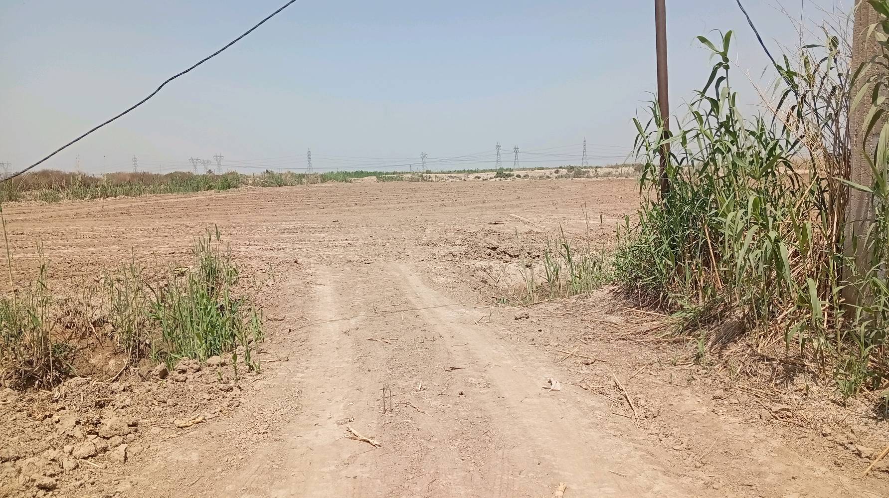 الدرعيه الثانيه المدائن • ١١ دونم • سند ٢٥