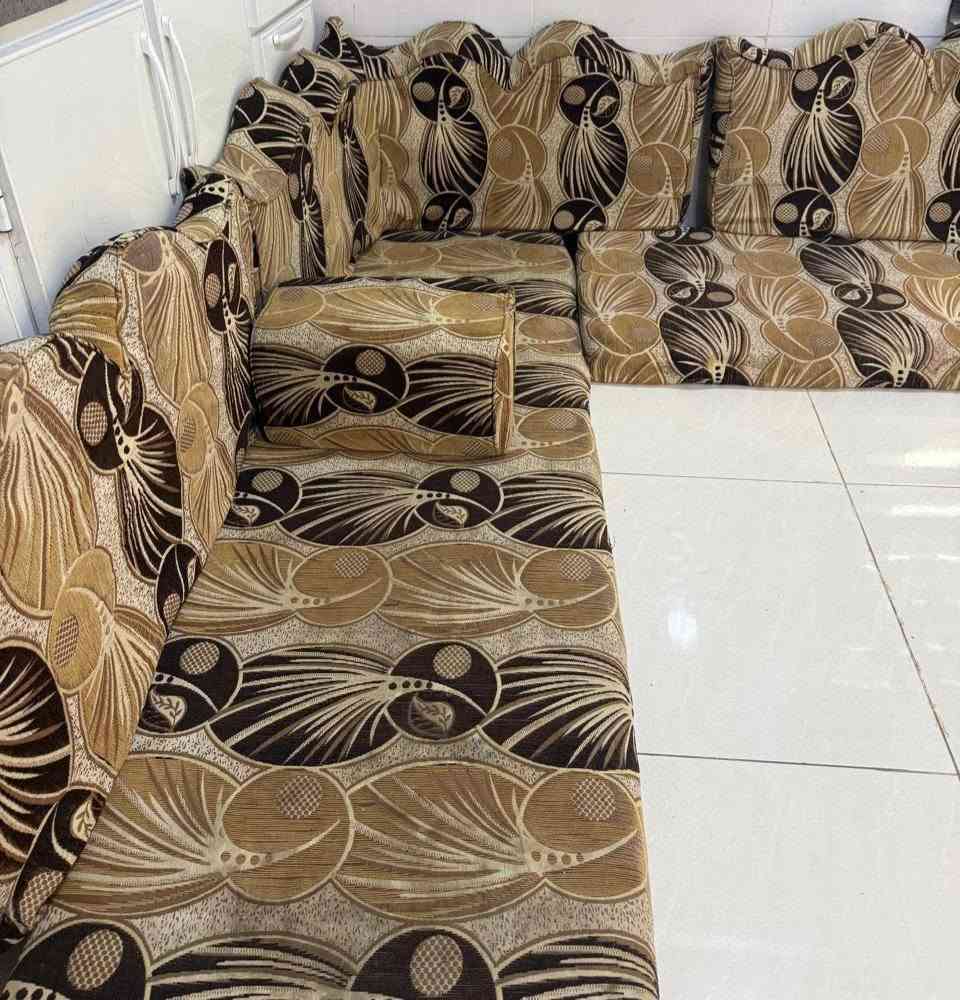 جلسة ملكية • ١٤م • ٧ دواشك