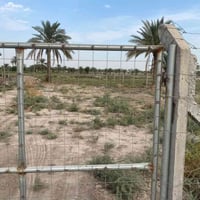 ١٢٥٠م • سكن/مزرعة • ٩٠٠م طريق حلّة-نجف