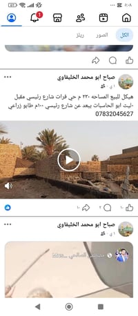 حي فرات • ٢٤٠م • هيكل
