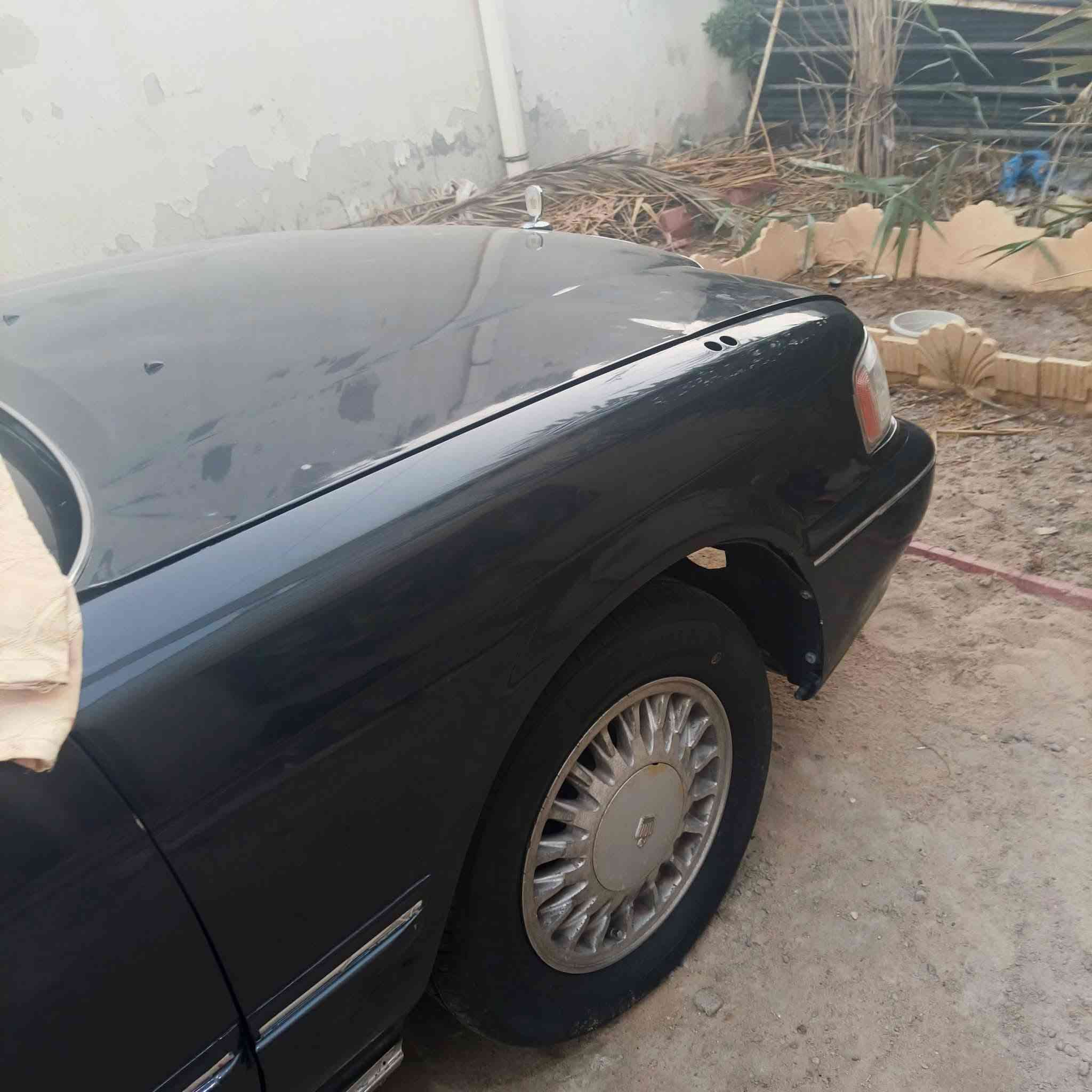 للبيع ارنب موديل ٩٤ جاهزه سنويا منتهية فقط تبريد حاليا نقص باقي جاهزه كله جديد حداده عامه كهربائيات عامه كله لوك طخم داير دسكات ؤاشر قبق ولفات بلكات نوزلاات قايش كله جديد ماسحات عظمات استيرن سبير نغل كله جديد ***********
