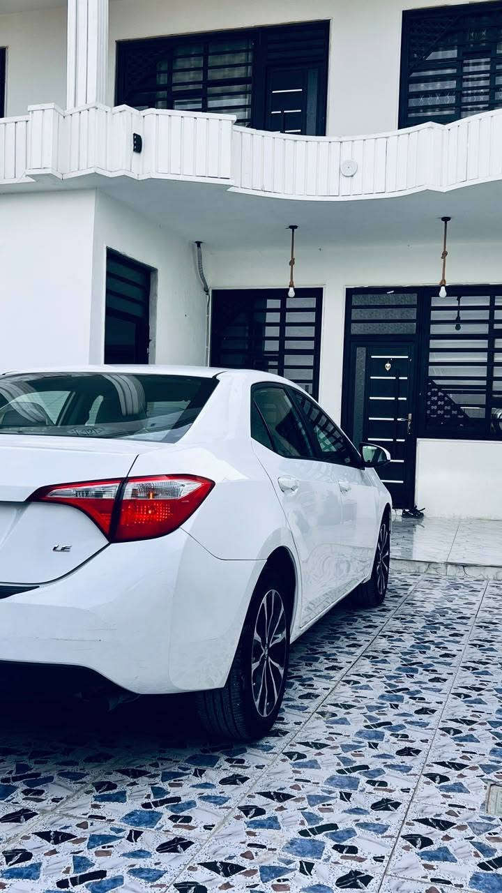 كورلا • ٢٠١٤ • رقم اربيل