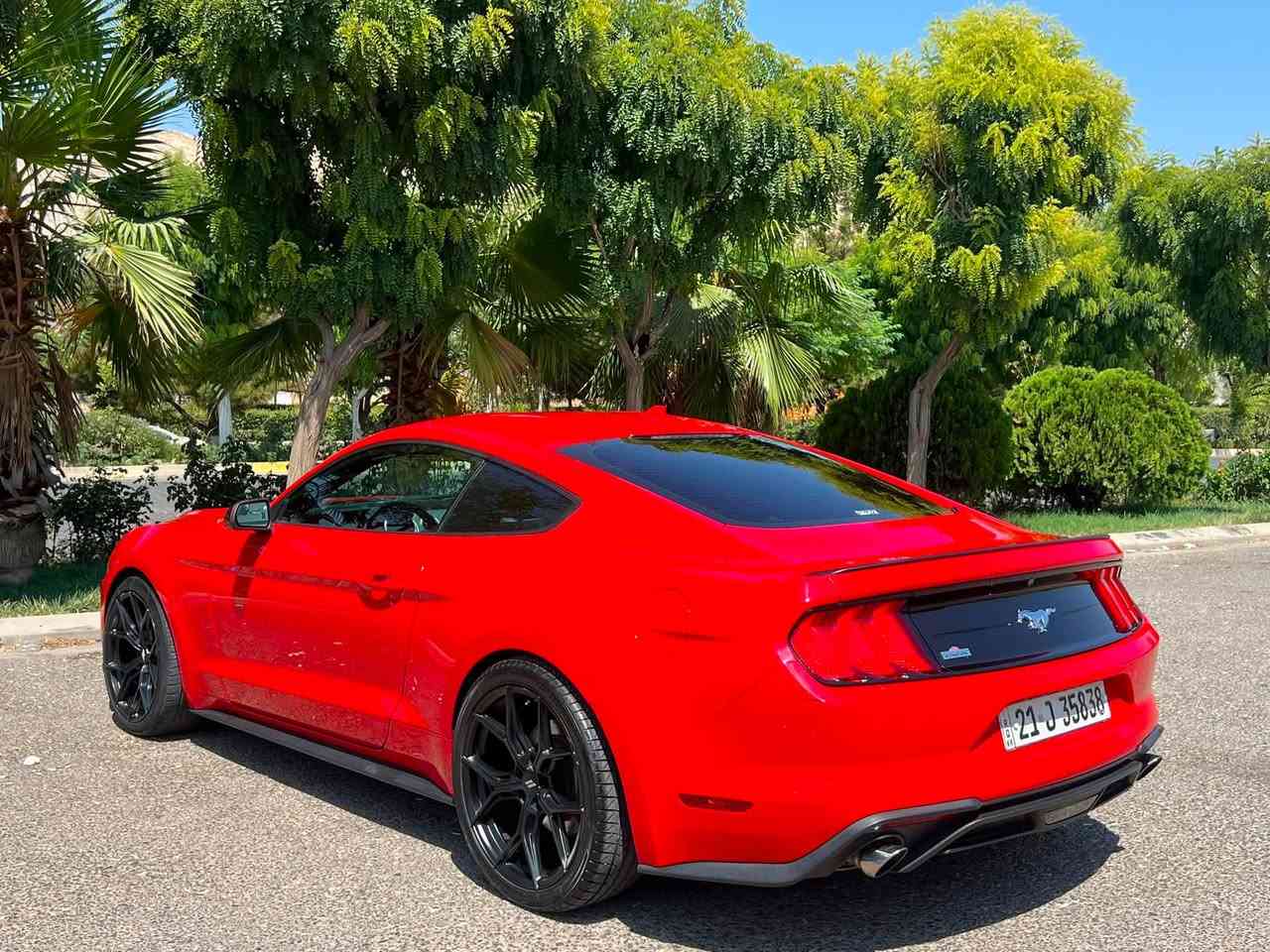 Ford mustang 2020 ecobost
فورد موستنك 2020 ايكو بوست 
لون احمر ❤️
*********** واتس 
سعر 135 بيها مجال بسيط
سنوية و هزه رقم جديد 
ماشي 79 مايل
بيها صبغ 1 جملغ باقي كفاله 
صور حادث موجد
رقم شاصي
1FA6P8TH3L5158562
مواصفات احتيادي موستنك
تشغيل عن بعد
شاشة +كار بلي +كاميره دواره
شفتات كير وره السترين تحكمات كامل
ويل توو سايز تايرات جدد
شاشة سنك 3 
كشنات كهربائي 
مودات 6 ايكو سبورت 
تبريد ثلج 
كير ومكينة شرط
السيارة مسويلهة ادامة كامل ما تصرف عليهة اي شي
السعر135وبيه مجال بسيط للشراي
*********** واتس
