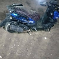 سكنس جلبي • ماكس بوليسي • منغولي 60