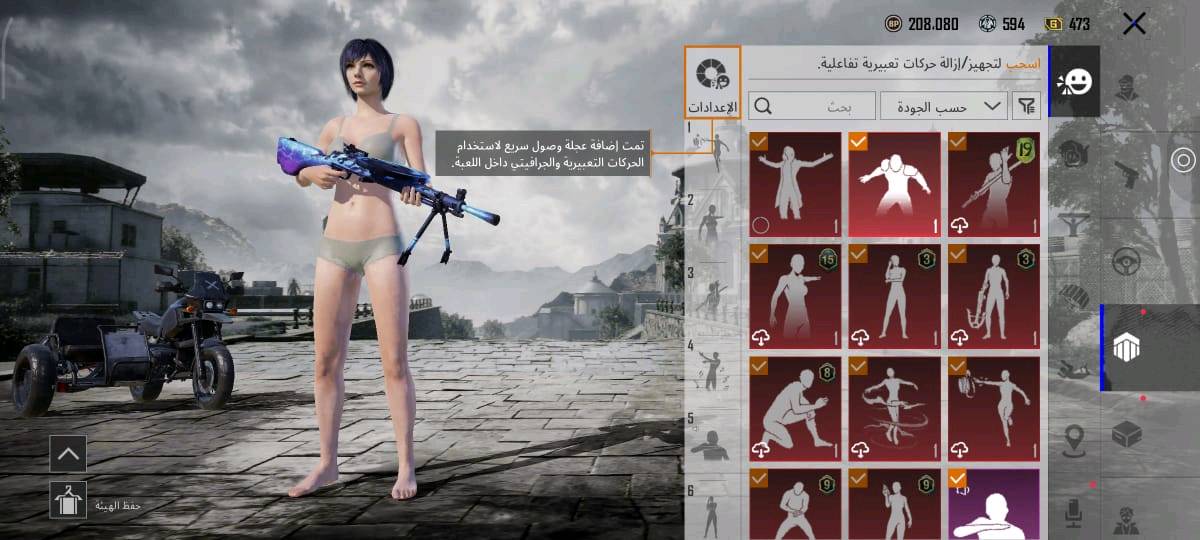 حساب ببجي • مستوى ٧٤ • ١٦ سلاح