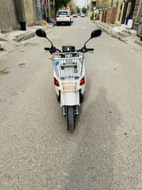 بيكم • ياباني • جديدة