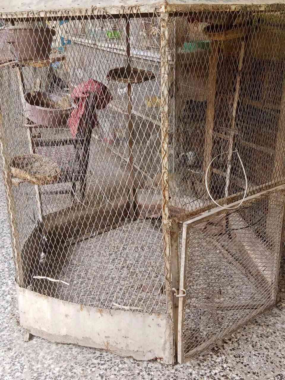 40 نهايته محمية حديد ترهم للطيور ودجاج وطيور الحب يرادلها صبغ بغداد ***********
