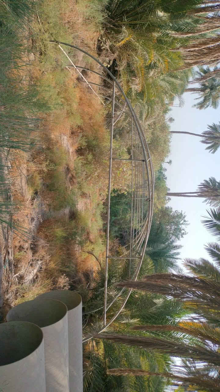 سلام عليكم
بيت بلاستيكي للبيع 
24 قوس 
القوس 3 قطع
العرض 9 متر 
رباط ثلاثي واحد هوائي وثنين أرضي
المكان /النجف الاشرف الكوفه عباسيه 
السعر خاص او الاتصال على الرقم ***********
