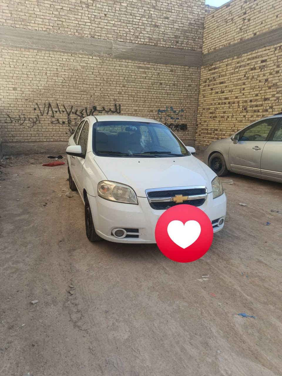 افيو ٢٠١١ • خليجي • بارد