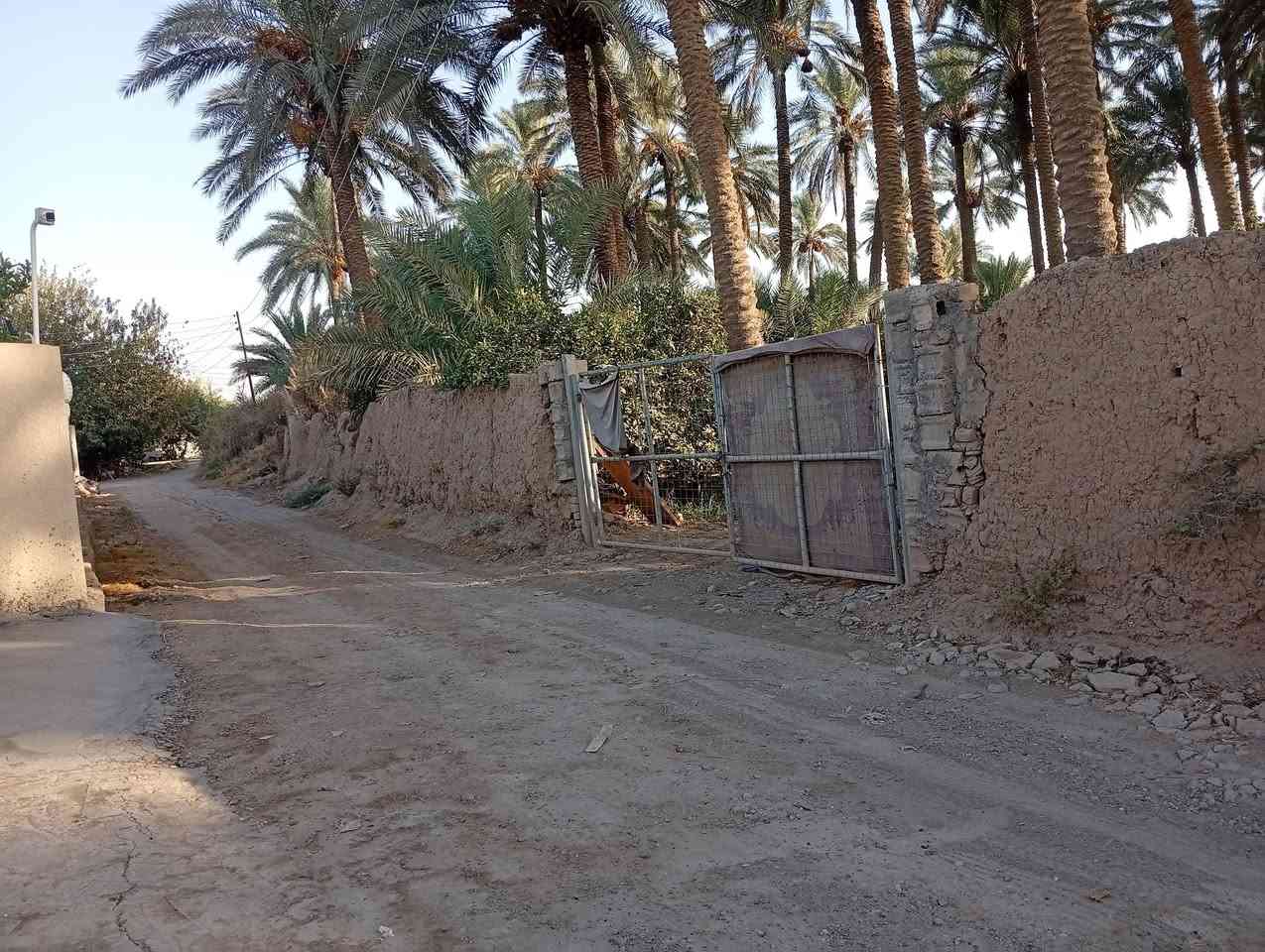 السلام عليكم لبيع بستان 
لبيع أو مراوس منتجع 
المساحه نص دونم 
سند 25تحويل ثاني يوم 
مزروعه بلكامل 
ماء كهرباء 
مكان شارع المداخل الرئسي بين مدخل 2و3يبعد عن الشارع العام 500متر
سعر ب85مو شراي لايخابر رحمله ولديكم 
***********
