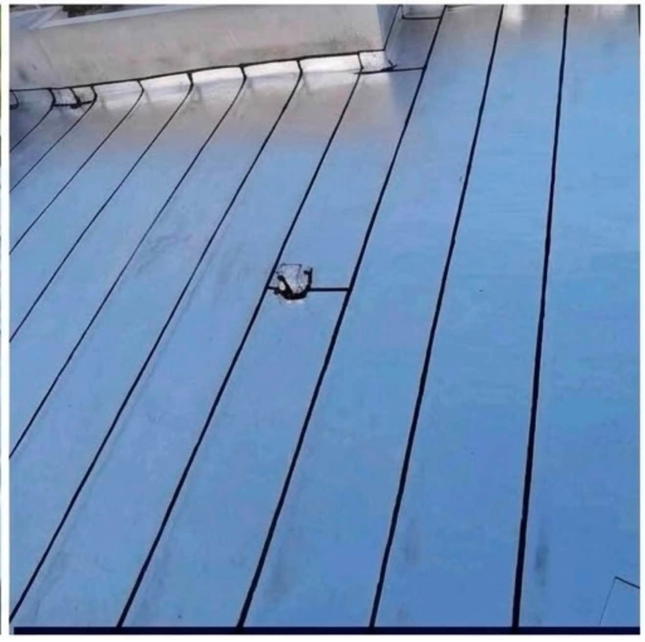 بسم الله الرحمن الرحيم 
نتوكل على بركة الله تعالى 

📢 شركة المهندس نور الجبور  لتغليف الاسطح بماده الايوزكام 📢 نعمل في جميع محافظات العراق 🇮🇶    #***********☎واتساب واتصال 
نفس المواد ونفس العمل بس السعر المناسم والارخص في العراق والاجود  نعمل ما يرضي الله ويرضيكم
تغليف السطوح بمادة الايزوگام على السندويج والصب والفرشي والشتايگر وكافة سطوح دوائر الدوله والشركات والمصانع والمدراس عازل للرطوبه بنسبه 100%وعاكس للحراره 100% للاسطح بديل للفرشي والشتايكر والطين والتراب والنايلون مقاوم للحراره بدرجه 140مئويه و30 تحت الصفر 
يتكون من طبقات داخليه ومواد مطاطيه تساعد على التمديد والتقليص 
 ☔ مستعـدين لتغليف كافة الأسطح بمـادة لبـاد الآيزوكام 
☔ ضمان عملنا 25 سنوات بوصل مختوم بعناوين حقيقـيه 
☔ أسعارنا تنافسيه بالمقارنه مع باقي الشركات 
☔ كوادر من ذوي الخبرة تعمل في كافة محافظات العـراق 
☔ لتفكر؟  كادرنه يجيك لباب الدار
 ( نتعهد بالمادة والعمل . اهلاً بكم )
