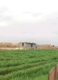 ارض زراعية عقد 35  المساحة 11 دونم ، بعد الجسر الفرنسي ب3 كيلو متر تقر...